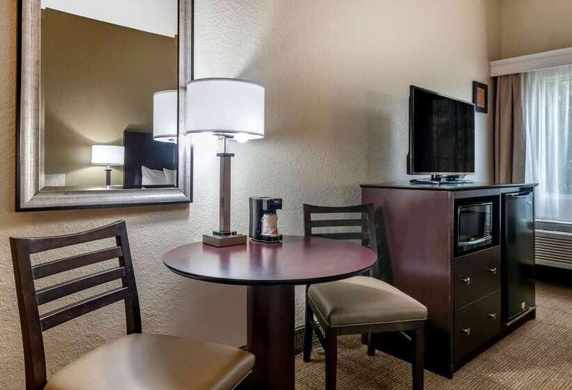 فندق Comfort Inn & Suites Deland Near University