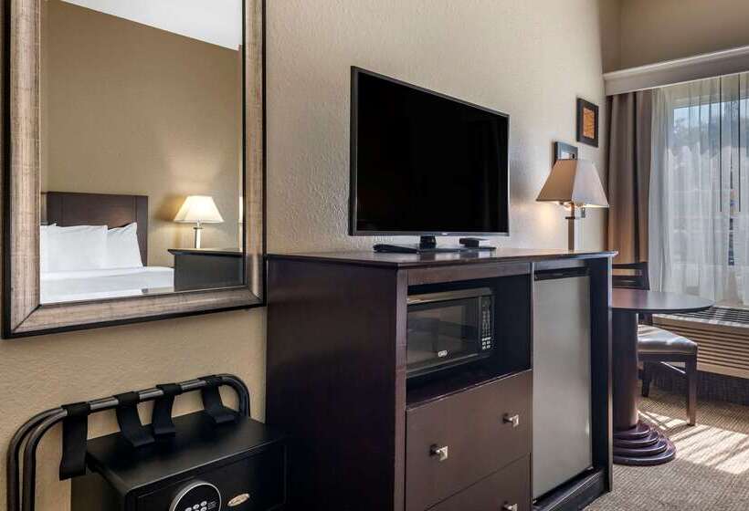 فندق Comfort Inn & Suites Deland Near University