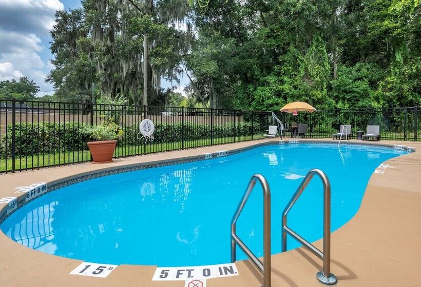 فندق Comfort Inn & Suites Deland Near University