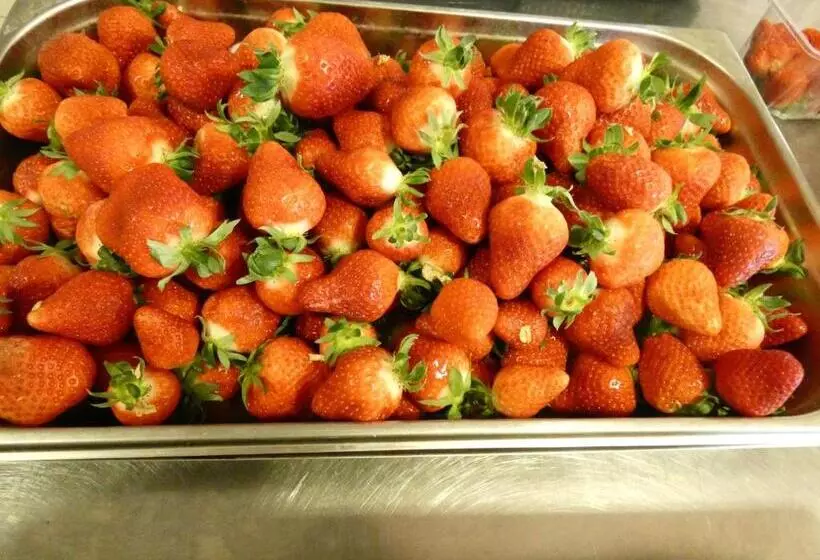 فندق L Oustal Del Barry