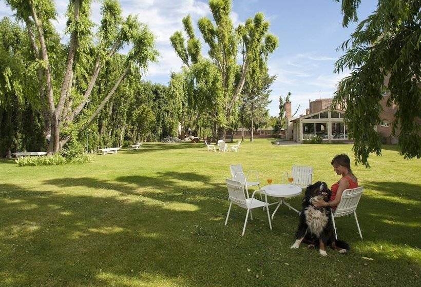 فندق La Posada De Madryn