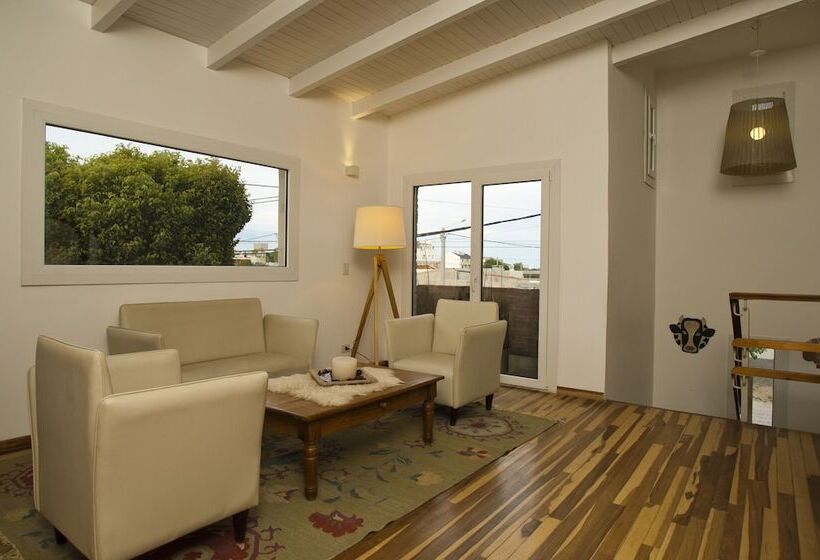 فندق La Posada De Madryn