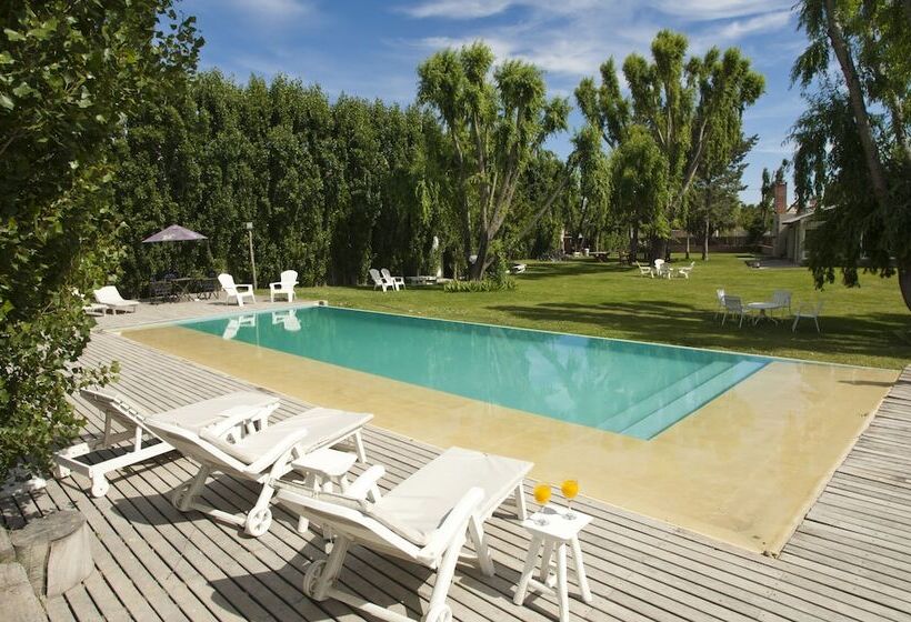 فندق La Posada De Madryn