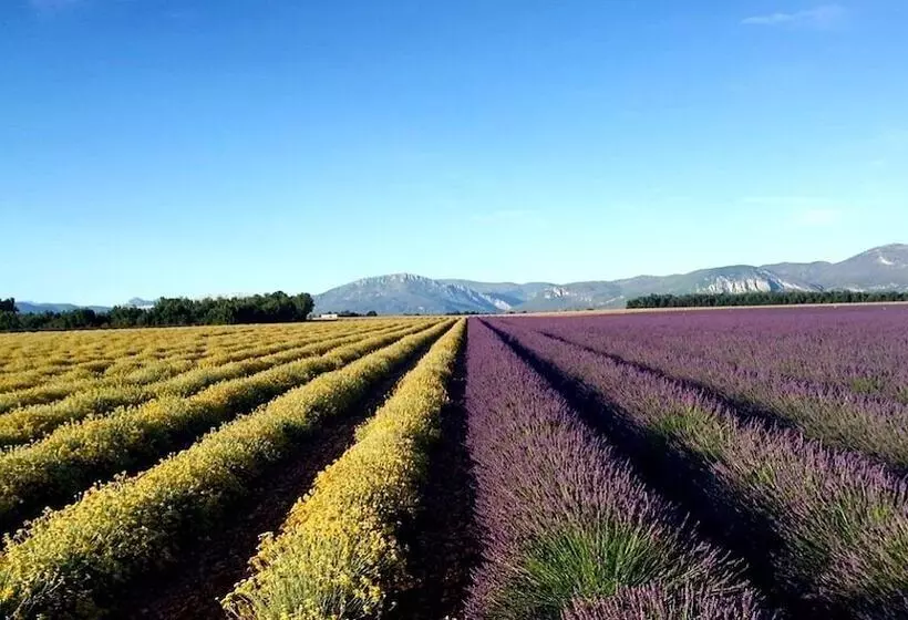 בית מלון כפרי & Spa Des Gorges Du Verdon