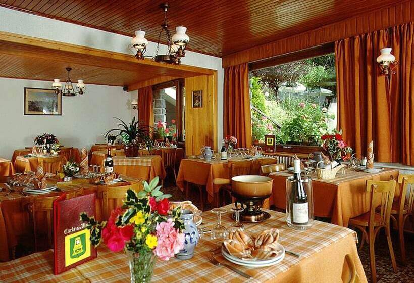 اقامتگاه Hôtel Les Côtes, Résidence Loisirs Et Chalets