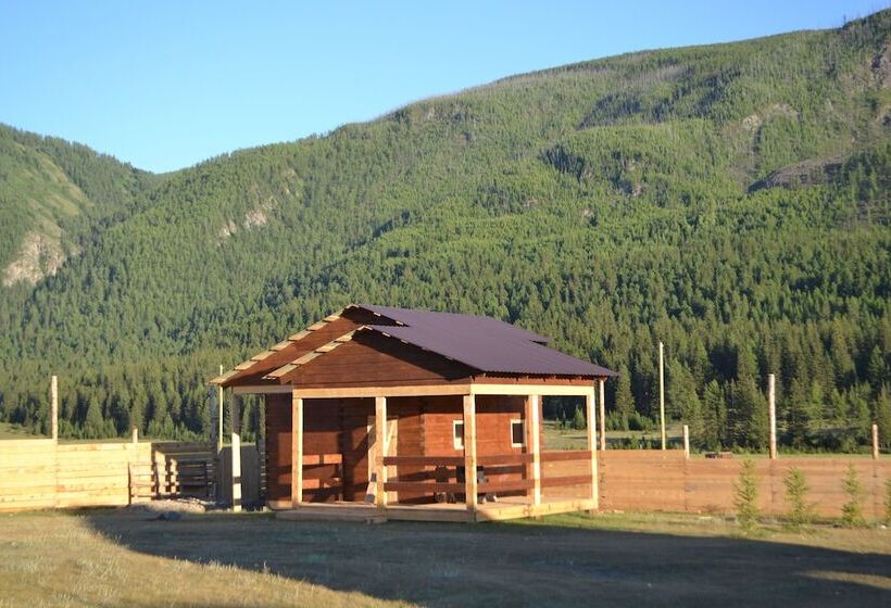 Bed and Breakfast Ethnohouse Yurta