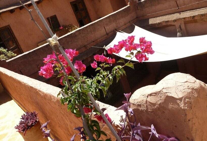 Riad Cascades D Ouzoud