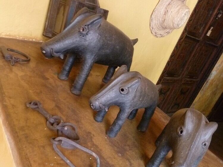 Riad Cascades D Ouzoud