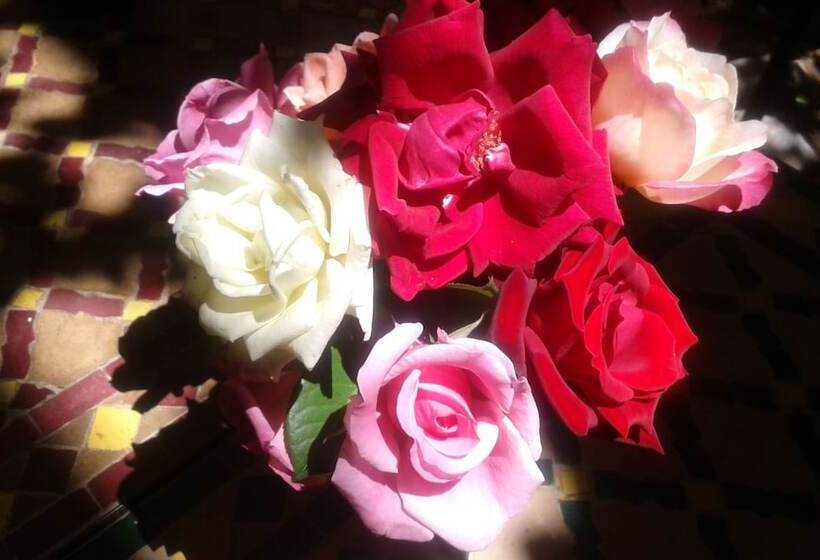 Riad Cascades D Ouzoud