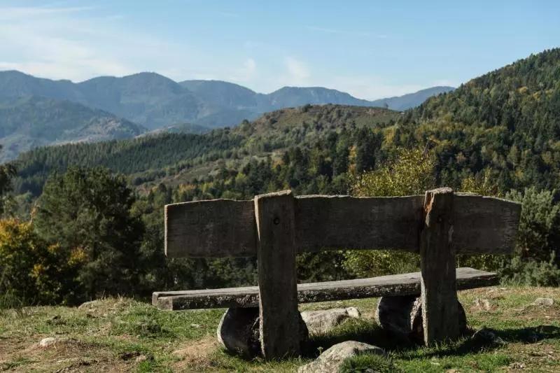 ホテル Logis Auberge Du Mehrbachel   Hôtel & Restaurant