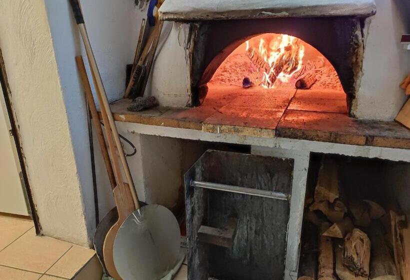 酒店 Auberge Lou Jas