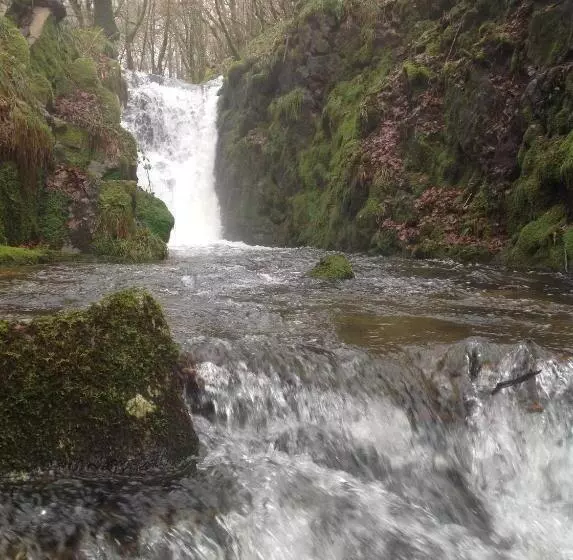 Logis Hotel Restaurant Des Voyageurs