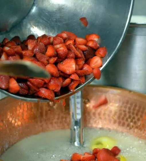 酒店 Hôtel Les Grillons