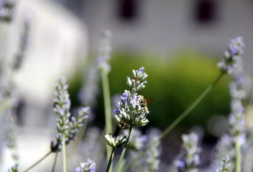 酒店 Hôtel Les Grillons