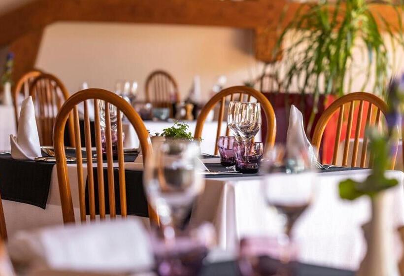 Отель Hôtel Les Grillons