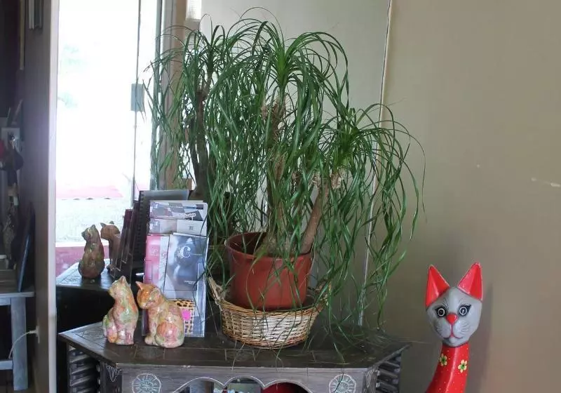 هتل Initial By Balladins Hôtel La Batida