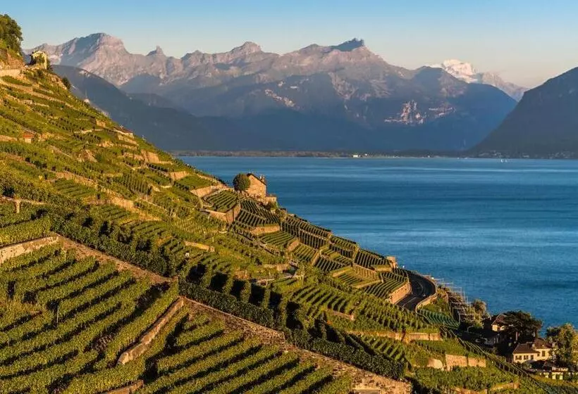 Отель Le Léman