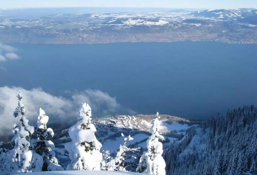 Отель Le Léman