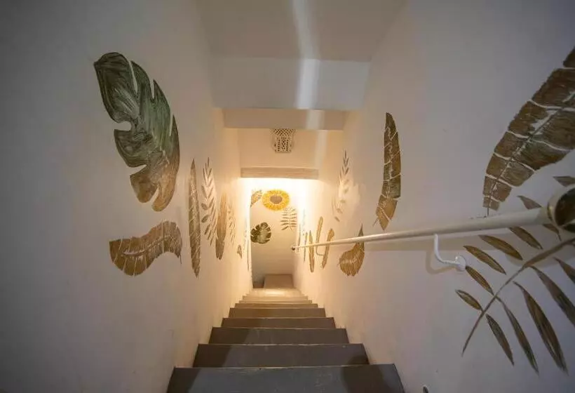 Aamiaismajoitus (B&B) Le Dimore Delle Stelle