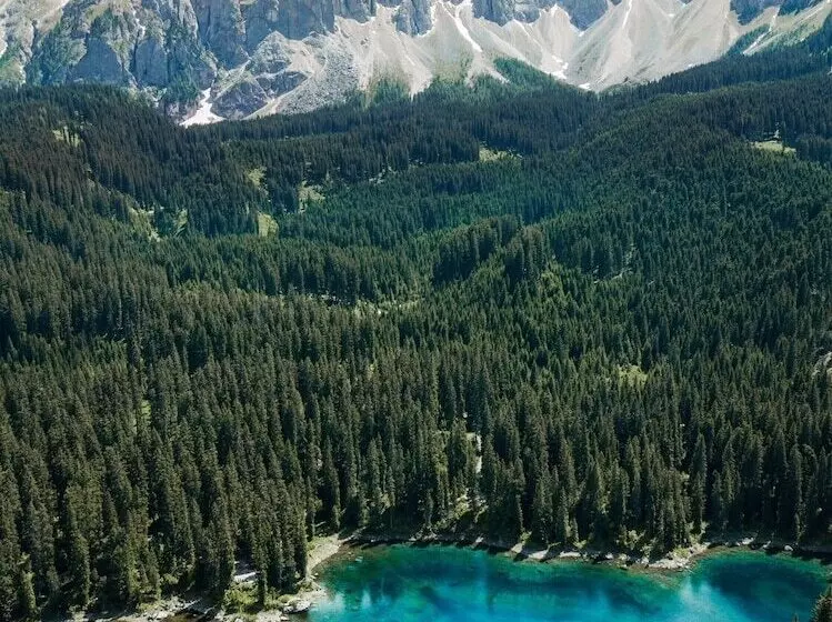 ベッドアンドブレックファースト Relais D Arfanta