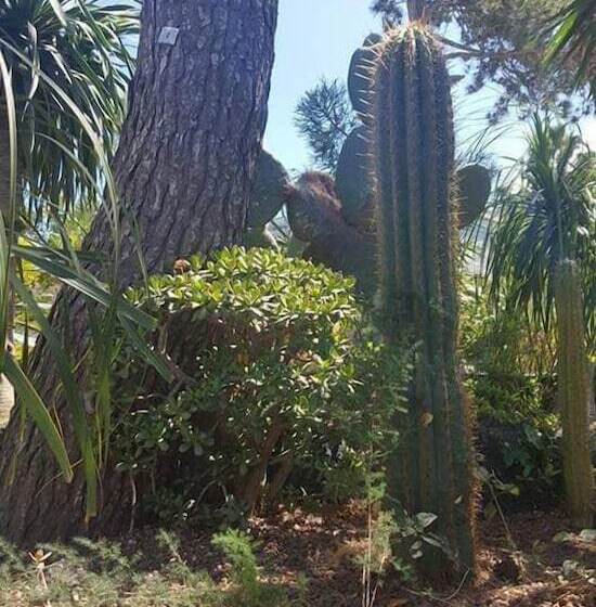 Bed and Breakfast L Incanto Restaurant & Suites