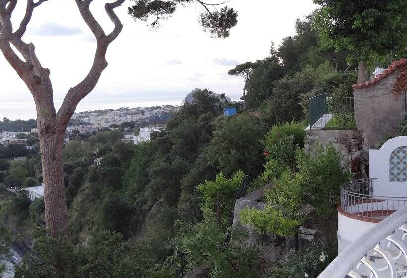 Bed and Breakfast L Incanto Restaurant & Suites