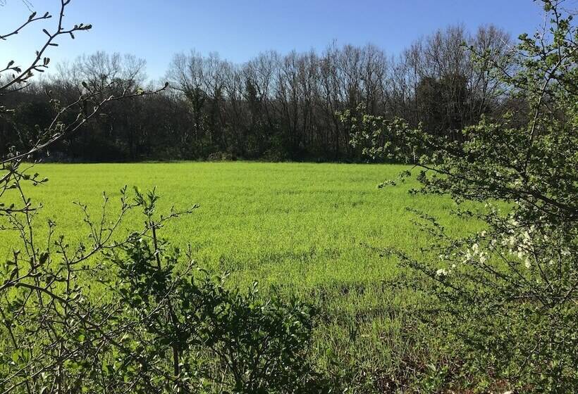 Corallo Country Hotel & Spa