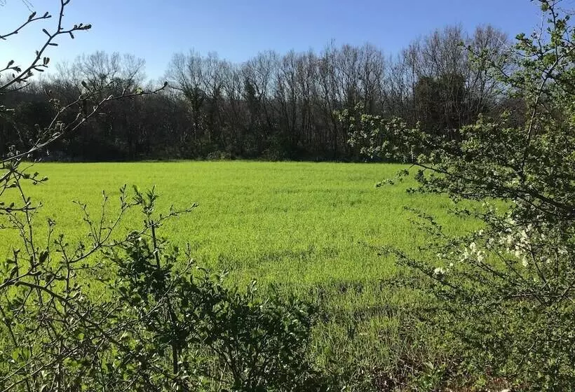 Corallo Country Hotel & Spa