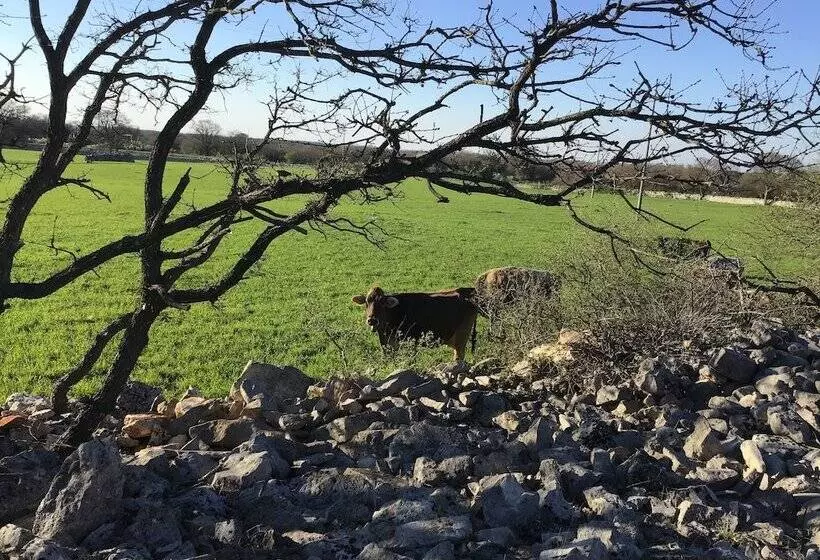 Corallo Country Hotel & Spa