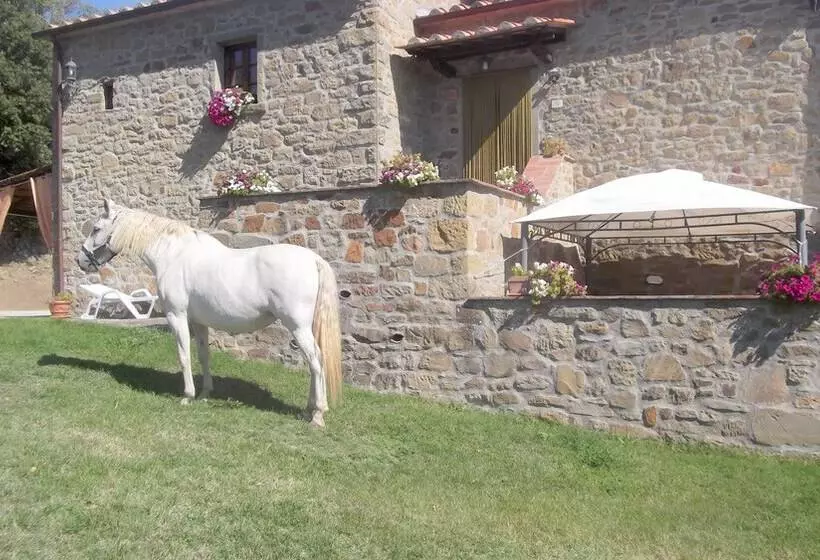 田舎風ホテル Agriturismo La Coccinella