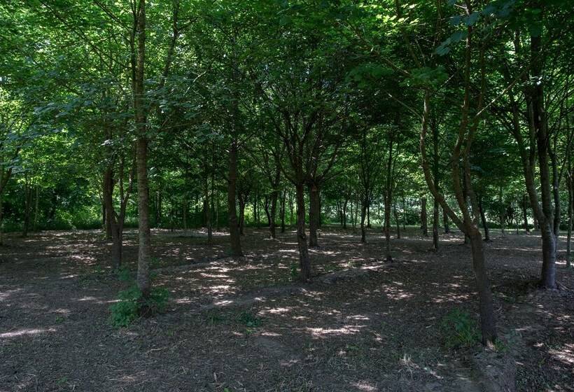 فندق ريفى Casolare La Quercia