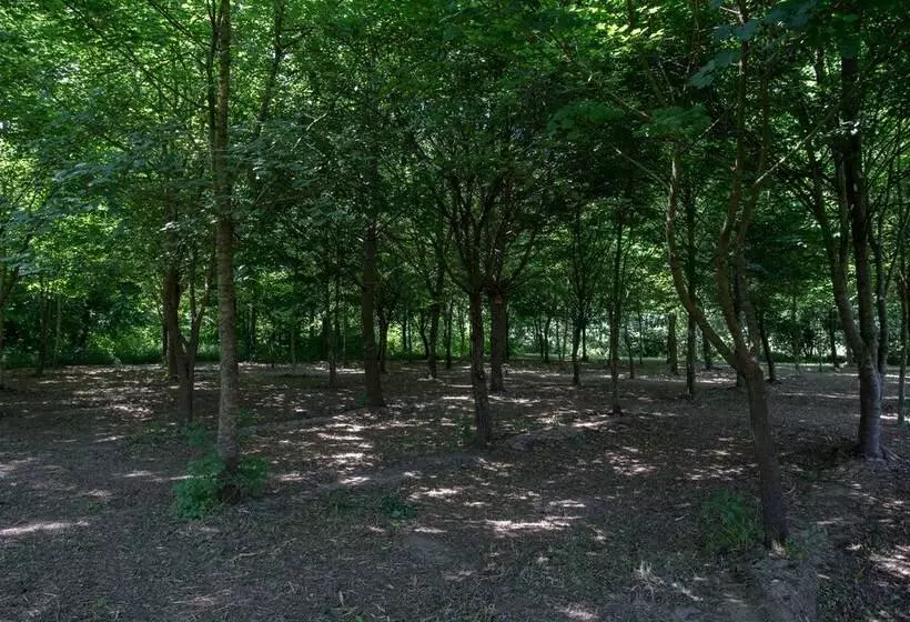 田舎風ホテル Casolare La Quercia