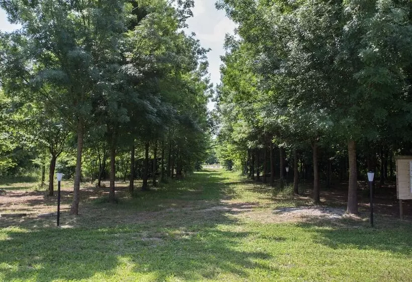 田舎風ホテル Casolare La Quercia