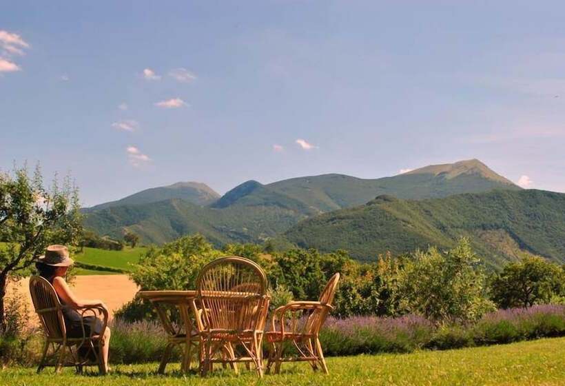 هتل روستایی Country House Il Posto Delle Viole