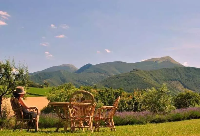 田舎風ホテル Country House Il Posto Delle Viole