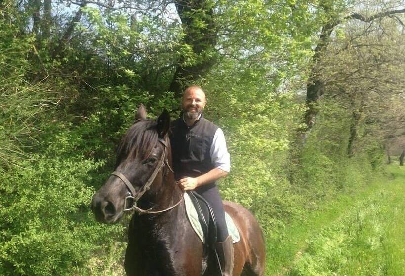 هتل روستایی Country House Il Posto Delle Viole