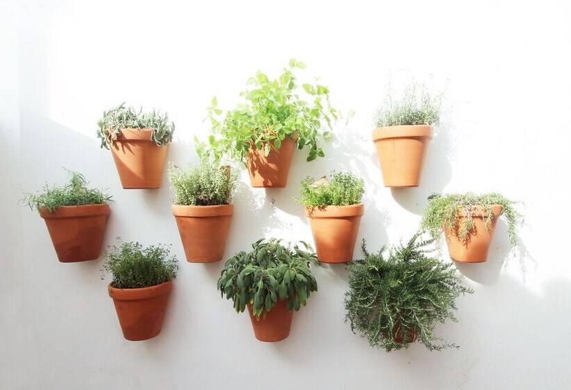 پانسیون Lavradores Boutique Guesthouse