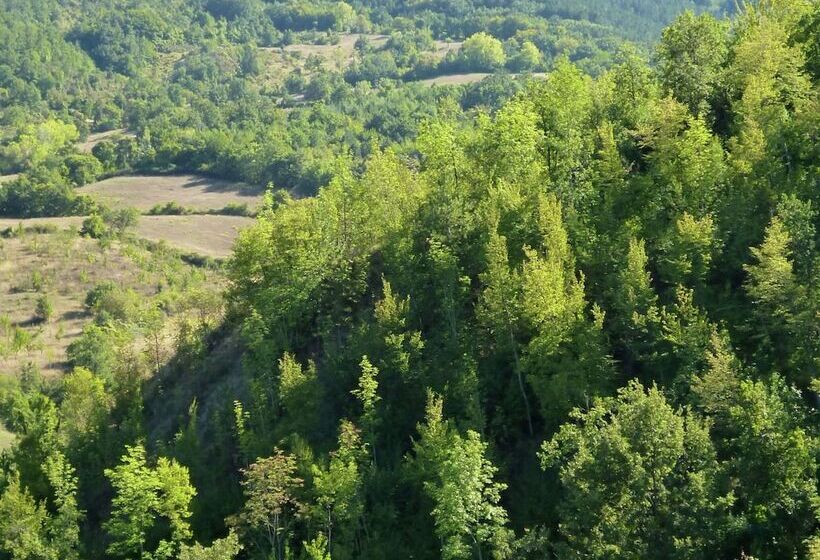 Typical Little Italian Property In The Middle Of Fruit Trees