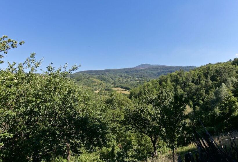 Typical Little Italian Property In The Middle Of Fruit Trees