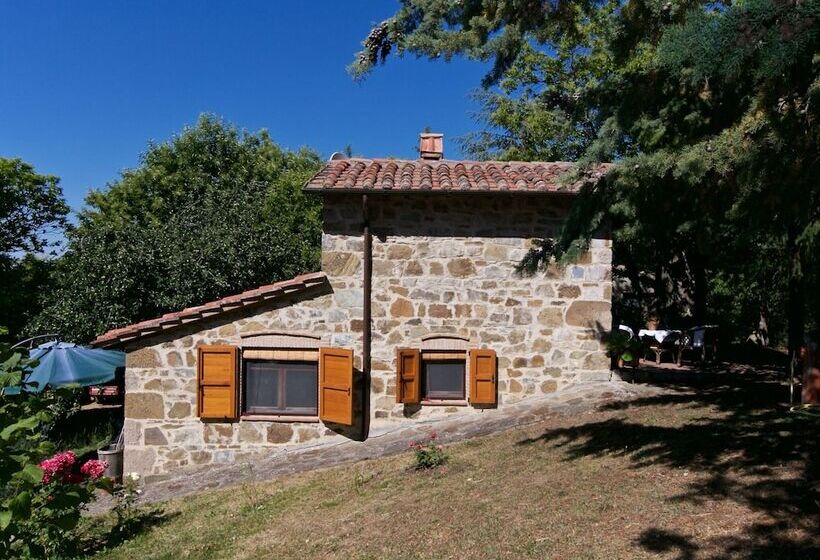 Typical Little Italian Property In The Middle Of Fruit Trees