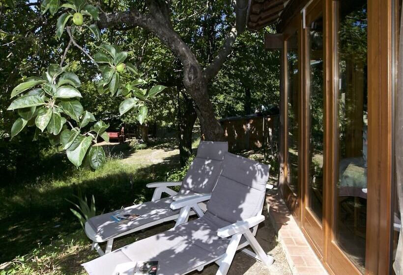 Typical Little Italian Property In The Middle Of Fruit Trees