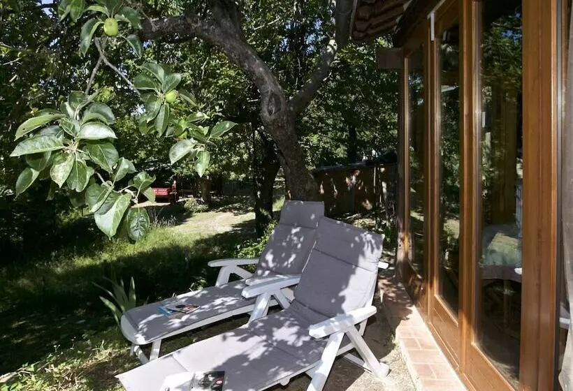 Typical Little Italian Property In The Middle Of Fruit Trees