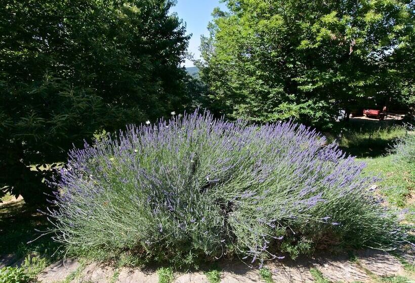 Typical Little Italian Property In The Middle Of Fruit Trees