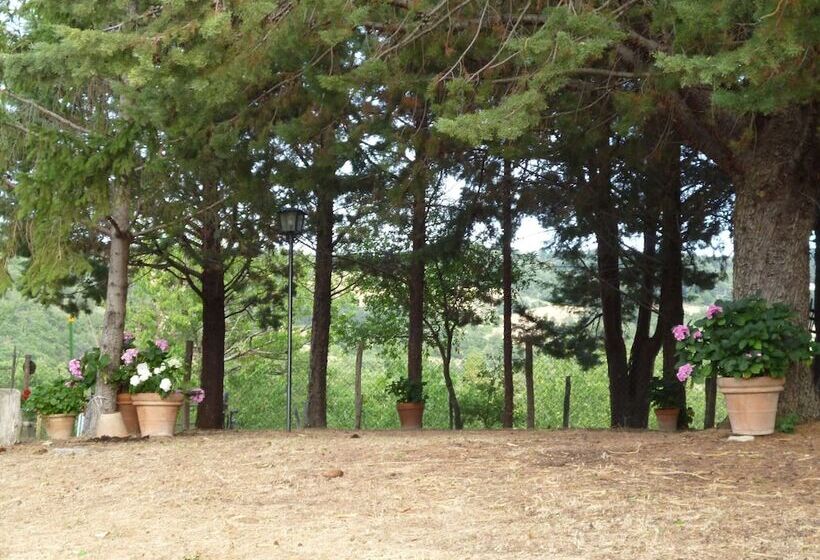 Typical Little Italian Property In The Middle Of Fruit Trees