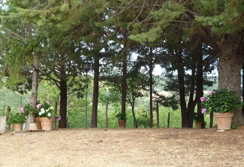 Typical Little Italian Property In The Middle Of Fruit Trees