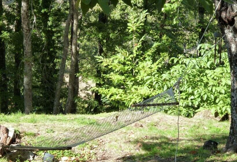 Typical Little Italian Property In The Middle Of Fruit Trees