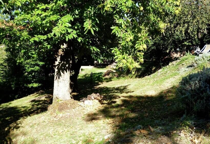 Typical Little Italian Property In The Middle Of Fruit Trees