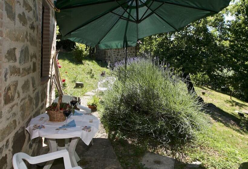 Typical Little Italian Property In The Middle Of Fruit Trees