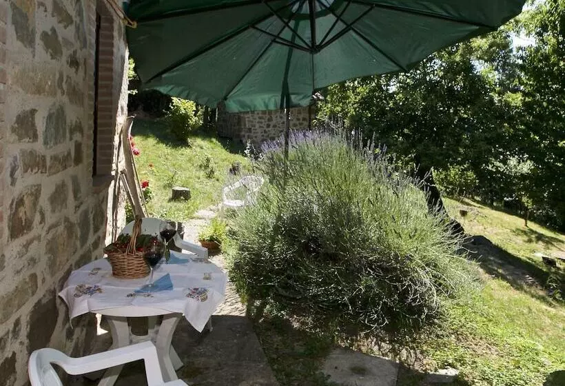 Typical Little Italian Property In The Middle Of Fruit Trees