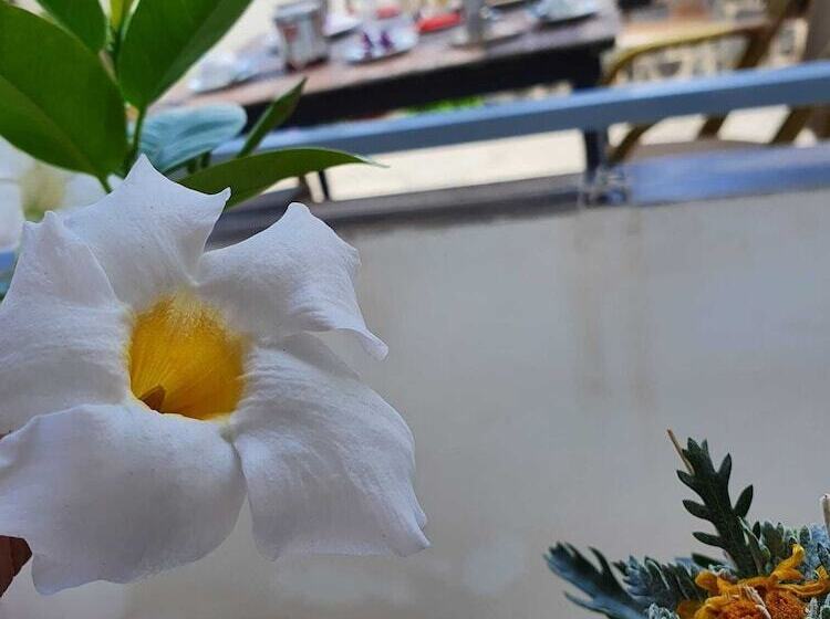 B&b Cappotto Civico 48